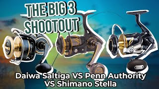 Tackle Tuesday  Daiwa Saltiga VS Penn Authority VS Shimano Stella  the BIG 3 reel shootout [upl. by Dido895]