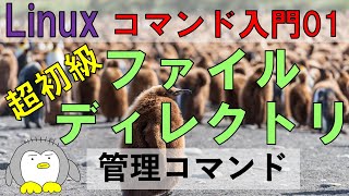 【Linuxコマンドの基本01】 ファイルを管理する Bash上でファイル、ディレクトリを作る、消す、そして、ファイルとはなにか、ディレクトリとは？ 初心者にわかりやすく解説。 [upl. by Richard661]