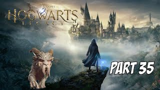 Hogwarts Legacy Part 35 Dark Souls wizard edition [upl. by Ekenna]