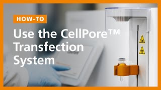 How To Use the CellPore™ Transfection System [upl. by Desma]