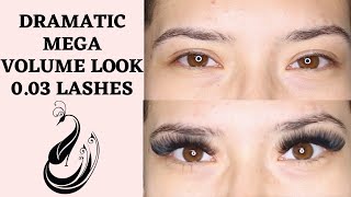 Mega Volume Eyelash Extensions Full Tutorial  How To Do Mega Volume Without Damaging Lashes [upl. by Avenej]