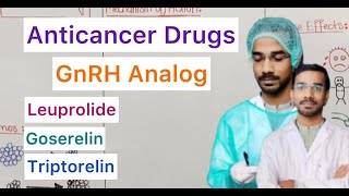 Anticancer Drugs  GnRH Analog  Leuprolide  Goserelin  Triptorelin [upl. by Cindra951]