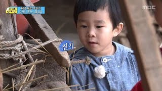 아빠 어디가 소 밥주는 윤후 그런 모습이 신기한 민율이 일밤 20130526 [upl. by Flori]