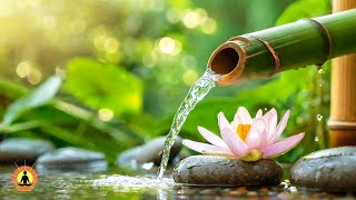 Tranquil Birdsong Music Relaxing Music for Stress Relief Spa River Sounds Meditation Music Zen [upl. by Nohtanhoj412]