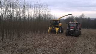 New Holland FR9060 Poplar harvest [upl. by Kamilah438]