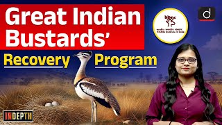 Great Indian Bustards Recovery Program  lesser Florican Indepth  Drishti IAS English [upl. by Porta]