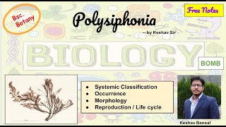 Polysiphonia  Morphology and Life cycle  Bsc  Free PDF notes  by Viologia EXtrema [upl. by Lamee]