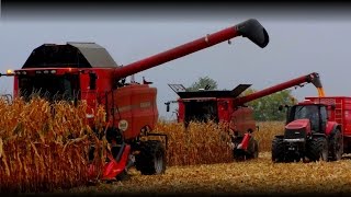 Case IH 9230 amp 8010  Corn harvest 2015 Uncut 35 [upl. by Eiuqram]