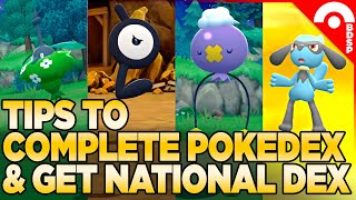 How to Complete the Pokedex amp Get the National Dex in Pokemon Brilliant Diamond amp Shining Pearl [upl. by Ginger]