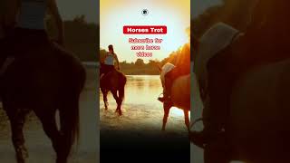 HORSES TROT 🐎Why do some horses trot  horses trotting horsetrot [upl. by Faye]