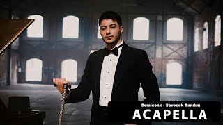 Semicenk  Sevecek Sandım Acapella  Müziksiz Vokal   Şarkı Sözleri [upl. by Ahsiekram]