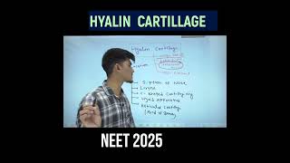 Hyalin cartillage in one minute [upl. by Nilerual793]