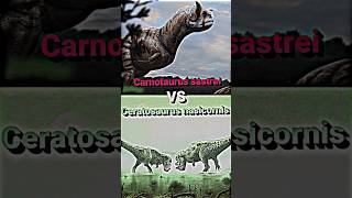 Carnotaurus VS Ceratosaurus dinosaur ceratosaurus carnotaurus prehistoric paleontology shorts [upl. by Barr361]