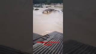 🇷🇺🌧️Inondations en Russie ce 27 juillet 2024 shorts russiaweather water storm youtube nature [upl. by Dhiman]