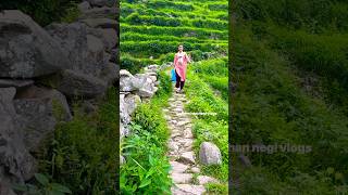 Narendra Singh negi old song 😍 villagelife kanchan negi vlogs uttrakhandvillagelife [upl. by Gaiser]