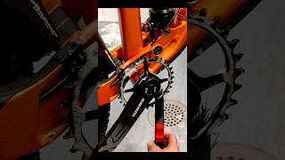 Chain ring cleaning mtb [upl. by Abbub]