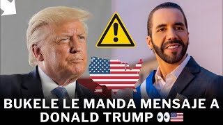 😱LA ADVERTENCIA QUE ENVÍA BUKELE A TRUMP TRAS GANAR LA PRESIDENCIA DE ESTADOS UNIDOS [upl. by Towland]