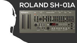 Roland SH01A exclusive demo  Musitechnic [upl. by Eeliah]