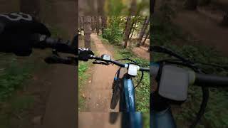 fun down the dirt jumps on the ebike [upl. by Arhsub906]