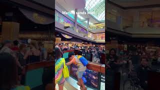 Marina bay sands shopping singapore india travel vacation [upl. by Nnaaihtnyc]