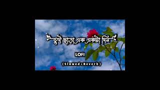 Tui Chara Ek Ekta Din  তুই ছাড়া এক একটা দিন  SlowedReverb  Imran  SB Lofi music🎶😌 [upl. by Tyree]