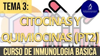 Citocinas y Quimiocinas Parte 2 Familia del TNF IL 17 Quimiocinas y Señalización por FasFasL [upl. by Forester]