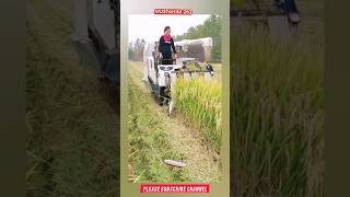 Japan mein new farmer machine launch dhaan kaatne ki machine farming machine kisan agritalk [upl. by Arodaeht]