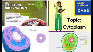 Cytoplasm l Cytosol l Cell structure and function l XI biology [upl. by Wolford580]