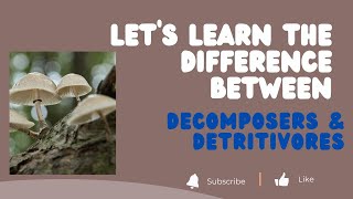 Difference Between Decomposers amp Detritivores  UPSC  Environment  Prelims 2023 [upl. by Haral120]