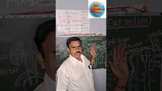 Excretion  Urination Diabetes insipidus Science Dr Shyamal Mitra [upl. by Helm]