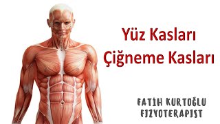 Yüz ve Çiğneme Kasları  KAS ANATOMİ si KONU ANLATIMI 17 [upl. by Novit]