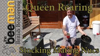 Queen Rearing Stocking Filling Apidea  Mating Nucs With Bees [upl. by Burd]