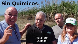 Como se producen mas de 400 Has sin usar químicos ni fertilizantes Solo con humus de lombriz [upl. by Aisirtap221]