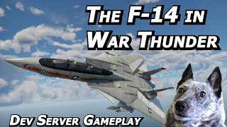 TOTALLY UNBIASED F14 Tomcat Impressions in War Thunders Dev Server  Real Pilot Plays War Thunder [upl. by Powers485]