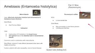 USMLE Pharmacology Misc Parasites [upl. by Ruff]