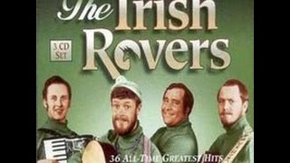 The Irish Rovers  Wasnt That A Party Lyrics on screen [upl. by Mook]