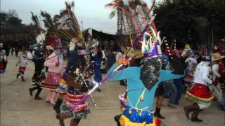 Son de carnaval de mecapalapa pantepec puewmv [upl. by Ahsiekel]