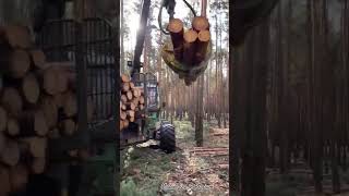 HARVESTER TREE MACHINE‼️ farming fypシ゚viral woodworking short [upl. by Norabal280]