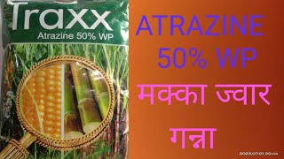 गन्ना मक्का की खरपटवार नियंत्रण। makka ganna । traxx herbicide। ATRAZINE 50wp। kisan agriculture [upl. by Ardnuat]