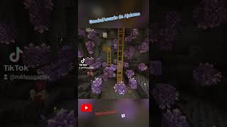 GeodaAcuario de Ajolotes minecraft vtuber [upl. by Plank825]