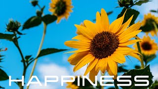 Rediscover Happiness  Powerful Subliminal to Overcome Depression [upl. by Eselehs959]