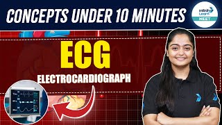 Electrocardiograph ECG Explained Body Fluids and Circulation  NEET 2025  Class 11 Biology [upl. by Alludba]