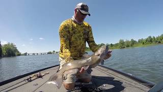 Chaumont Bay Catfish July 2018 [upl. by Felice]