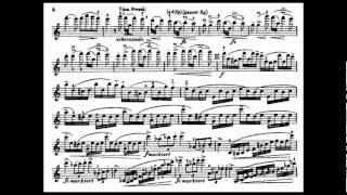 Dvorak AL mvt1 violin concerto [upl. by Jaal58]