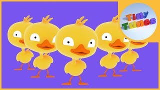 Five little ducks  Counting down from 5 Song  Tiny Tunes [upl. by Ahsiema]