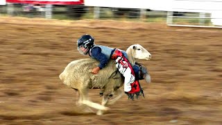 Mutton Bustin  2019 Dumas Cowboy Classic Rodeo Saturday [upl. by Pascha821]