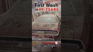 1970 Dodge Challenger Barn Find Gets First Wash in 40 Years  Satisfying Classic Car Detailing [upl. by Wright696]