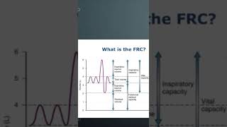 What is functional residual capacity FRC in lung volume graphics waveforms neonatalventilation [upl. by Iel]