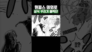 원피스 의외로 상식 꾸러기 해적단 [upl. by Asilrac]