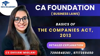 Basics of the Companies Act 2013  CA Foundation  Business Laws  CS Shivani Miglani [upl. by Nyleaj]